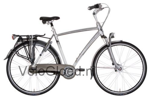 Gazelle Chamonix Plus specificaties